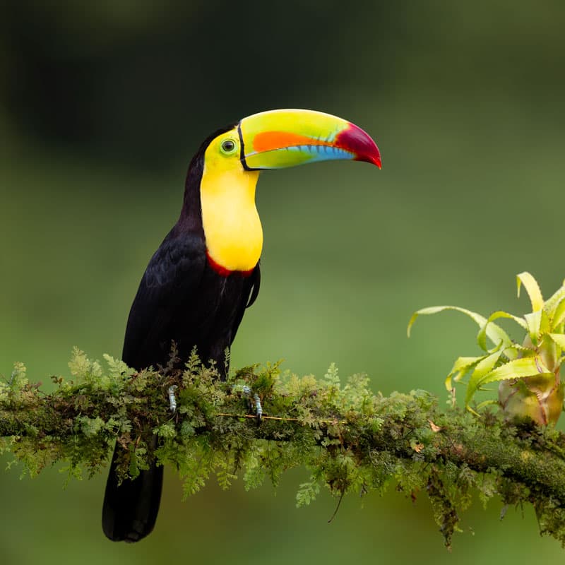 Costa Rica