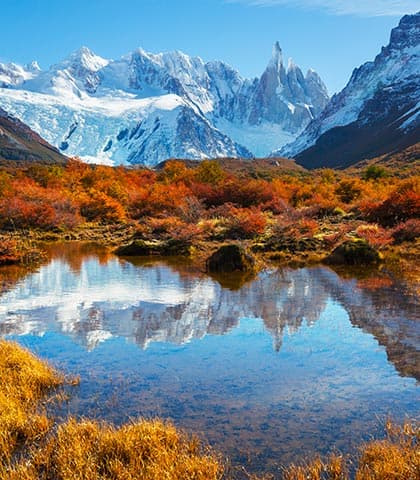 Argentine