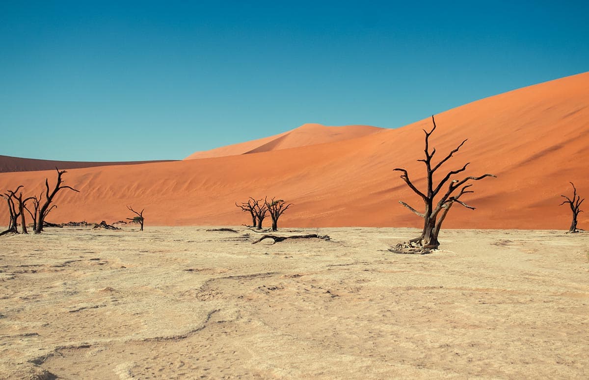 Namibie, sur la piste de l'Oryx